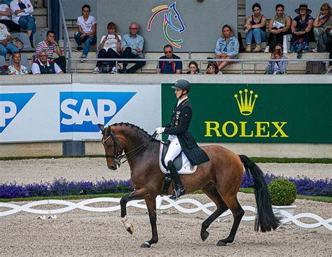 fendi 48 pferd|Fendi 48: dressage horse, 1 horse.movie, Pedigree, Ratings.